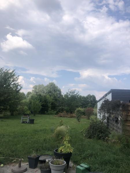 Foto dell'alloggio