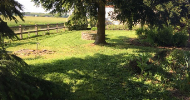 Foto dell'alloggio