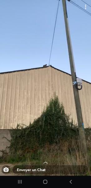 Foto dell'alloggio