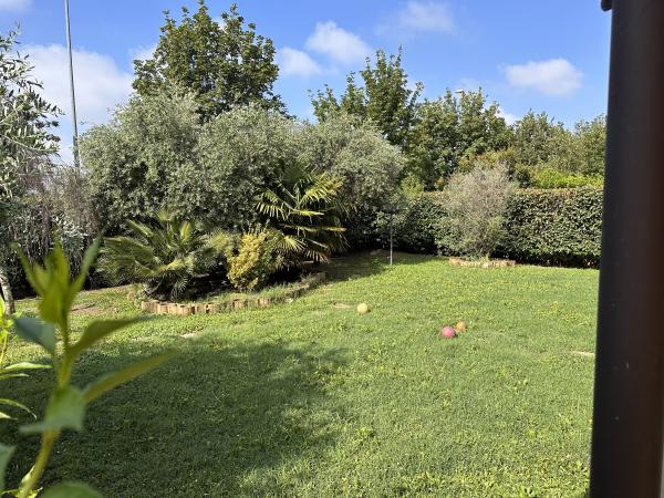 Foto dell'alloggio