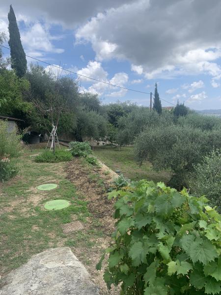 Foto dell'alloggio