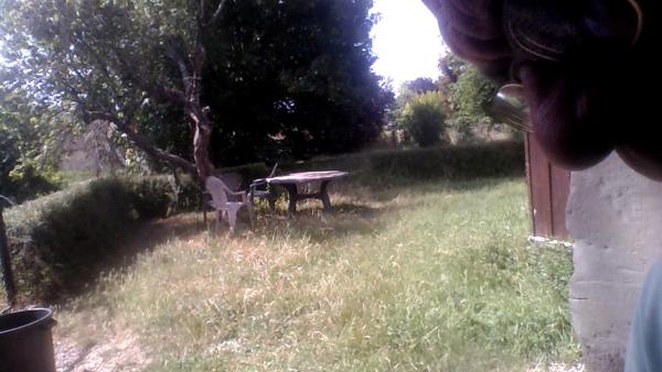 Foto dell'alloggio
