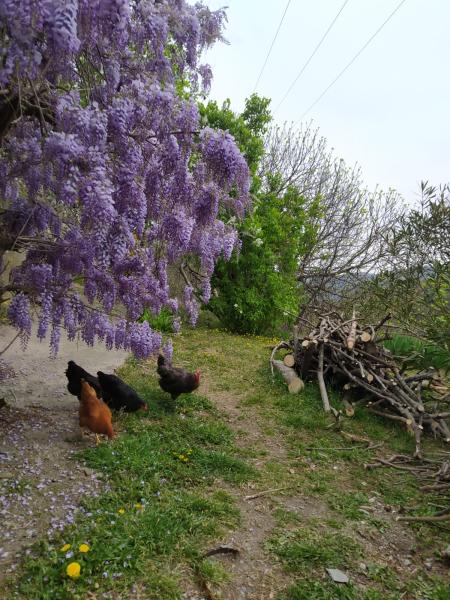 Foto dell'alloggio