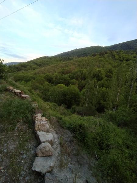 Foto dell'alloggio
