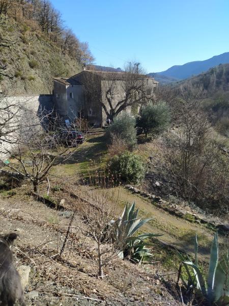Foto dell'alloggio
