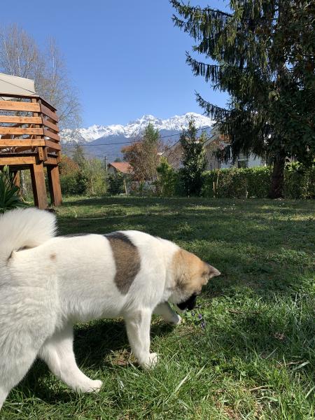 Foto dell'alloggio