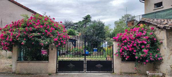 Foto dell'alloggio