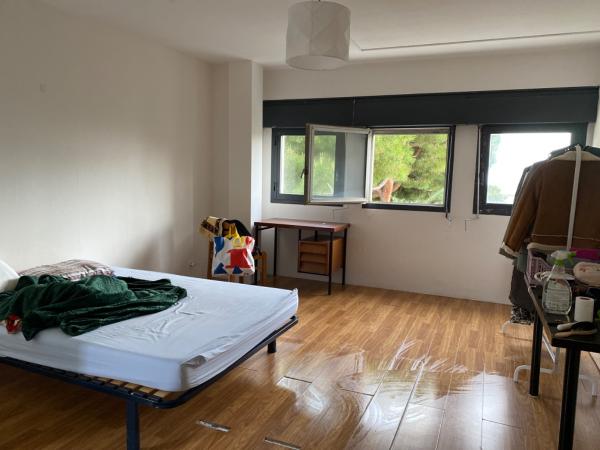 Foto dell'alloggio