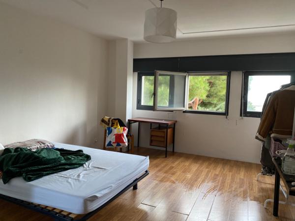Foto dell'alloggio
