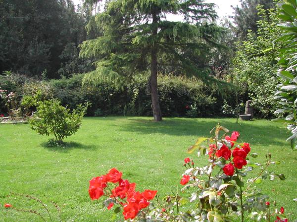Foto dell'alloggio