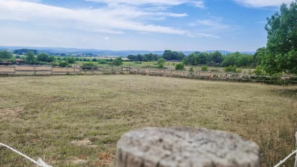 Foto dell'alloggio