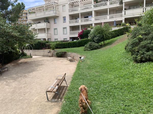 Foto dell'alloggio