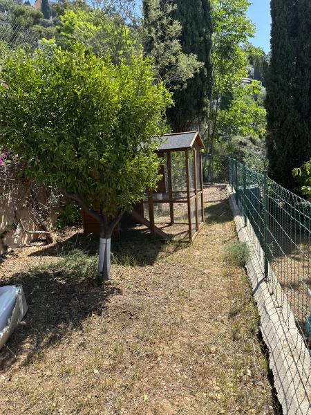Foto dell'alloggio