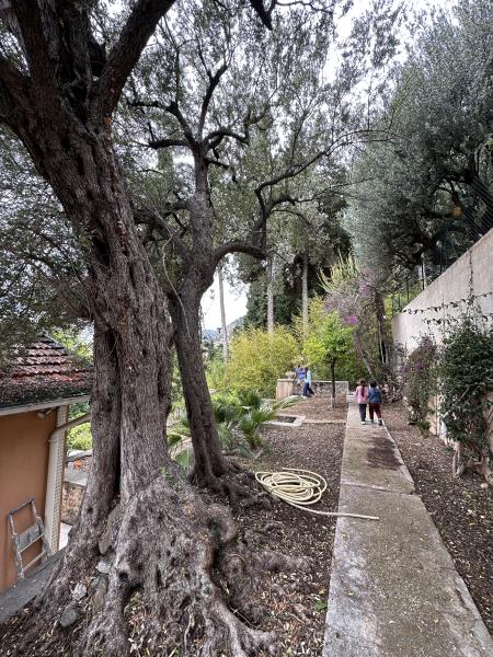 Foto dell'alloggio