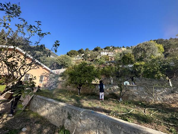 Foto dell'alloggio