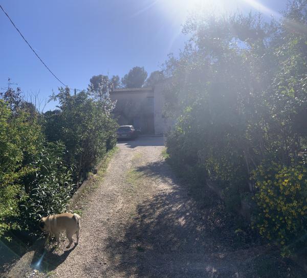 Foto dell'alloggio