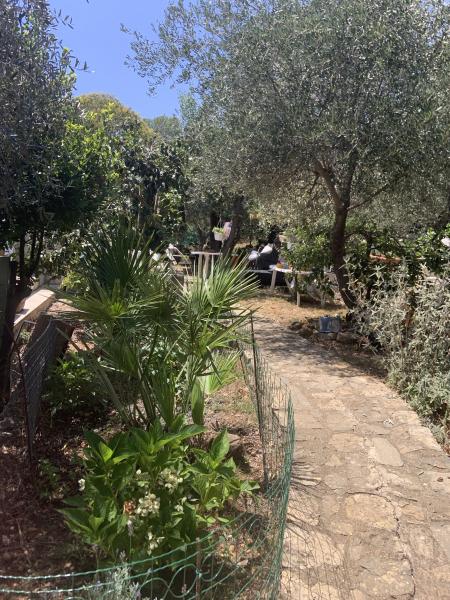 Foto dell'alloggio