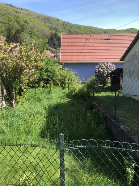 Foto dell'alloggio