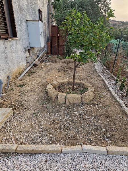 Foto dell'alloggio