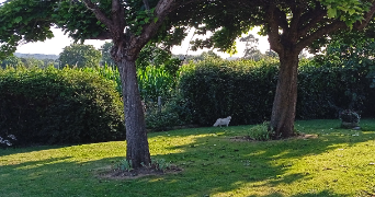 Foto dell'alloggio