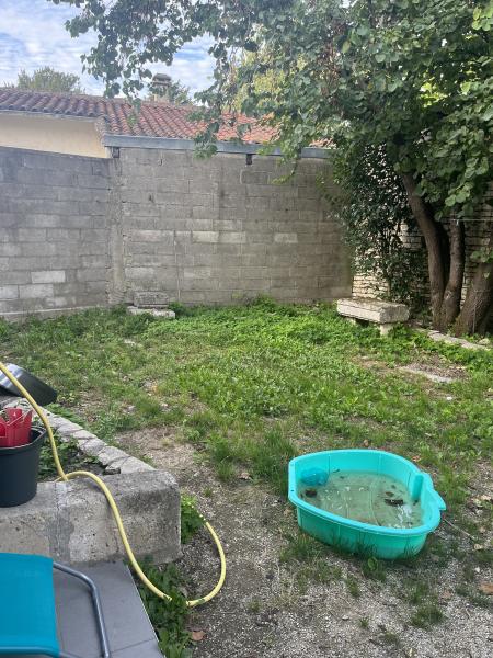 Foto dell'alloggio