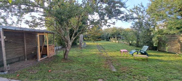 Foto dell'alloggio
