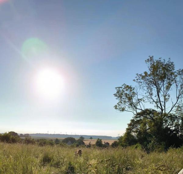 Foto dell'alloggio