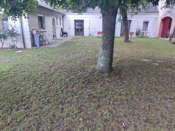 Foto dell'alloggio
