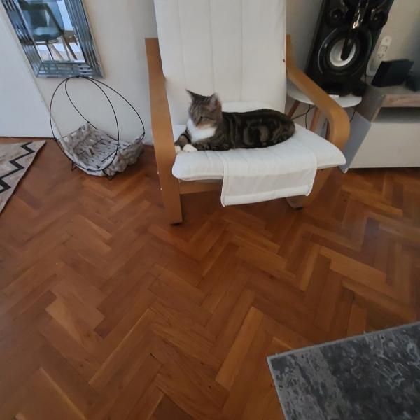Foto dell'alloggio