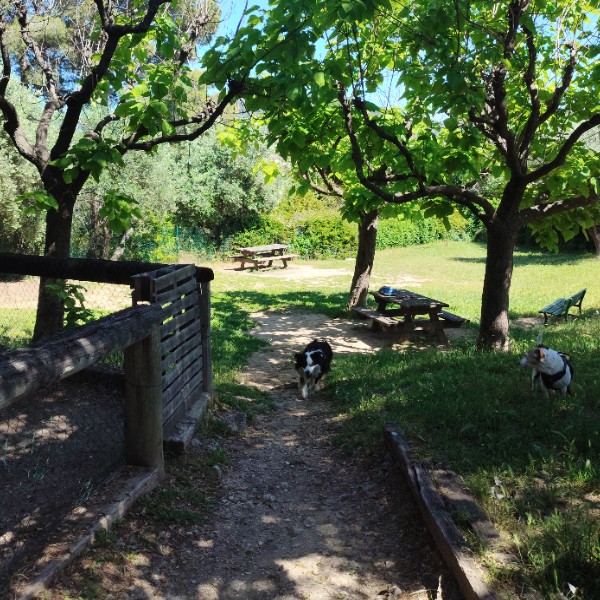 Foto dell'alloggio