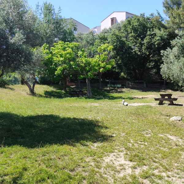 Foto dell'alloggio