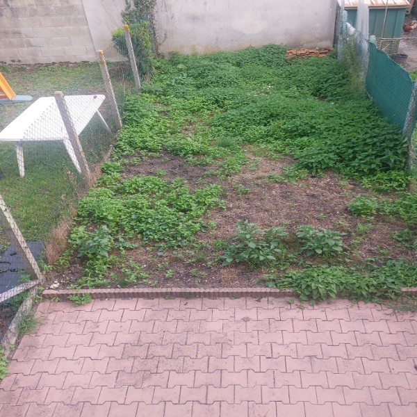 Foto dell'alloggio