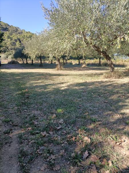 Foto dell'alloggio