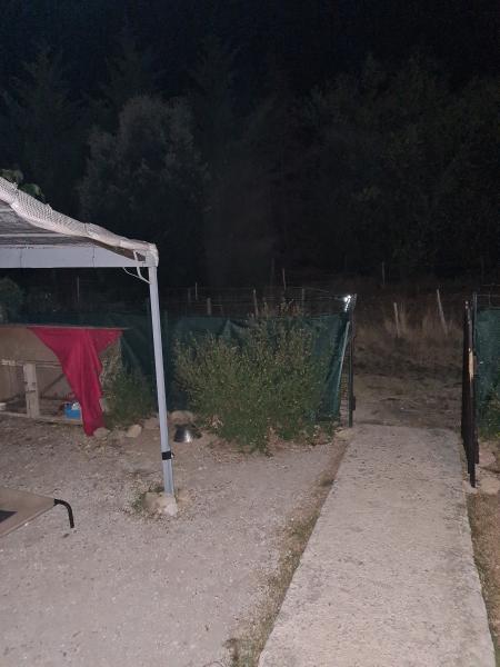 Foto dell'alloggio