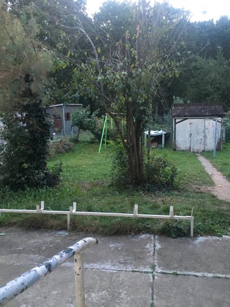 Foto dell'alloggio