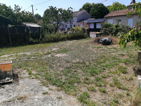 Foto dell'alloggio