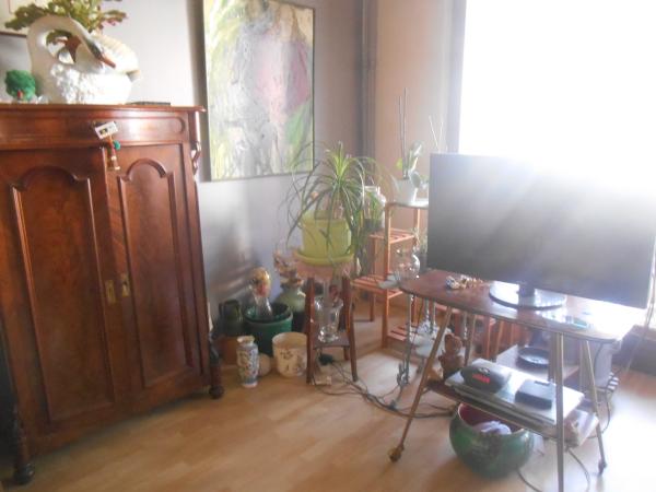 Foto dell'alloggio