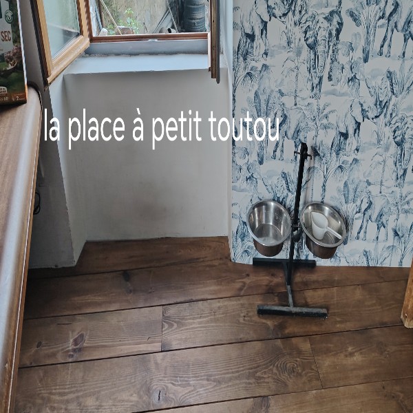 Foto dell'alloggio