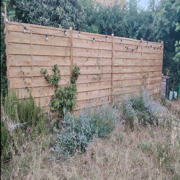 Foto dell'alloggio