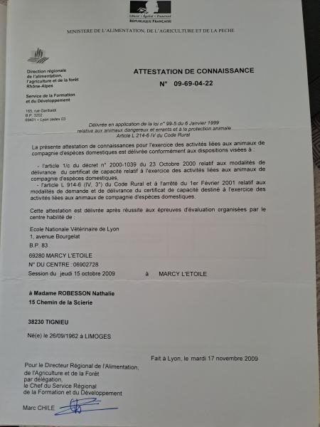 Foto dell'alloggio