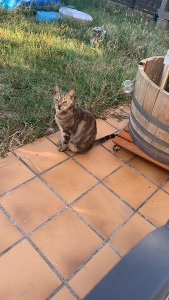 Foto dell'alloggio