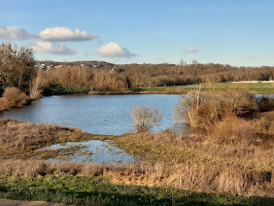 Foto dell'alloggio