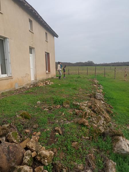 Foto dell'alloggio