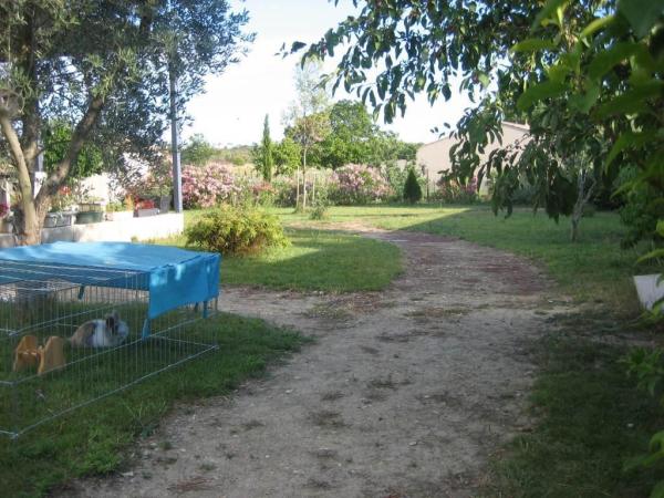 Foto dell'alloggio