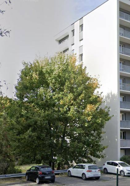 Foto dell'alloggio