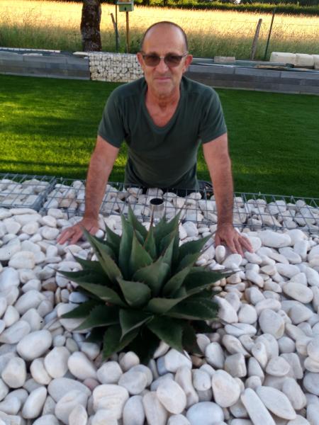 Foto dell'alloggio