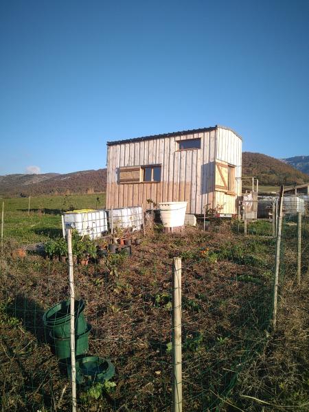 Foto dell'alloggio