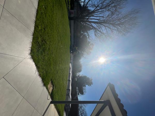 Foto dell'alloggio