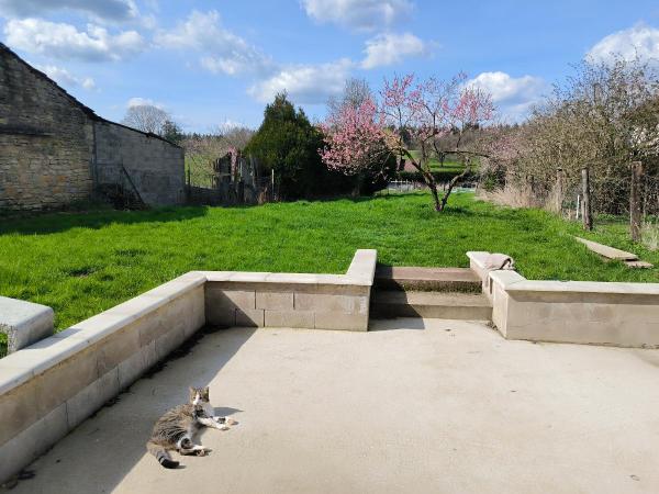 Foto dell'alloggio