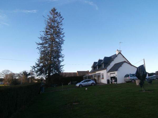 Foto dell'alloggio